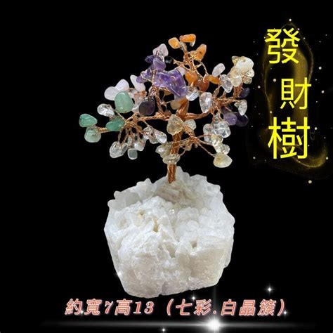 水晶樹|水晶樹功效大公開！淨身改運、財運愛情一把抓 